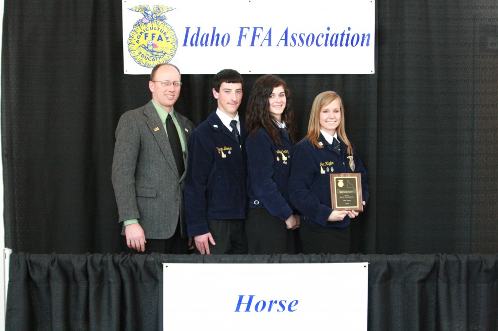 Horse Evaluation - 2nd place