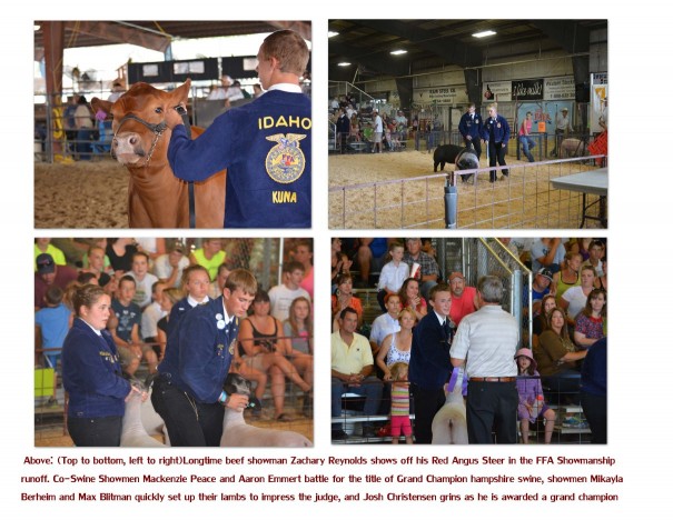 Canyon county fair picture2